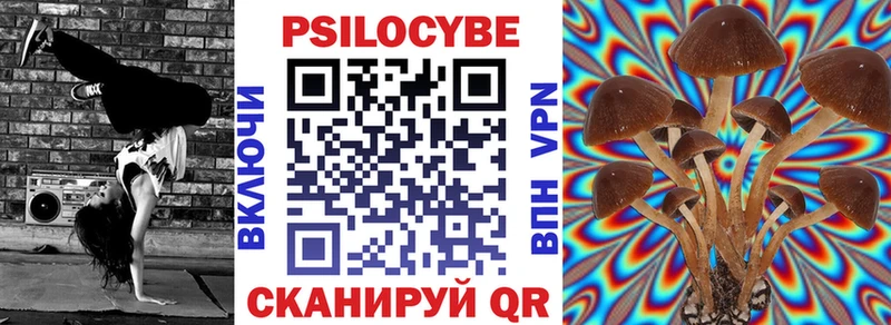 Купить где  Павловская  Галлюциногенные грибы Psilocybine cubensis 